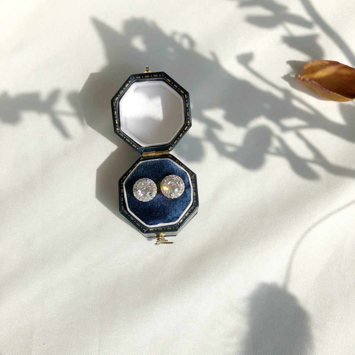 [Lumi Jewelry]Classic Princess Round Shape Earrings