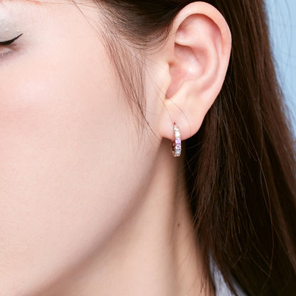 [Lumi Jewelry]Radiant Colorful Round Cut Earrings