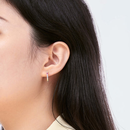 [Lumi Jewelry]Radiant Colorful Round Cut Earrings
